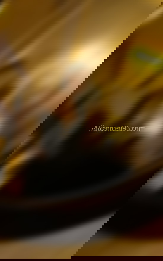 Camila. 613327537. Citas en ALICANTE, ALICANTE. www.alicante69.com.