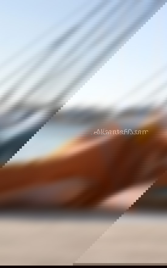 Bruna, venezolana. 666644819. Citas en ALICANTE, ALICANTE. www.alicante69.com.
