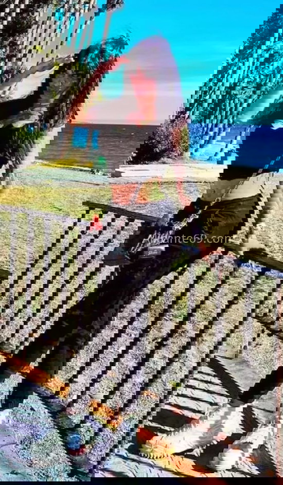 Malibú, linda chica trans. 642236058. Citas en ALICANTE, ALICANTE. www.alicante69.com.