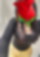 611256029