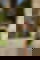 691292810