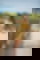 613689359