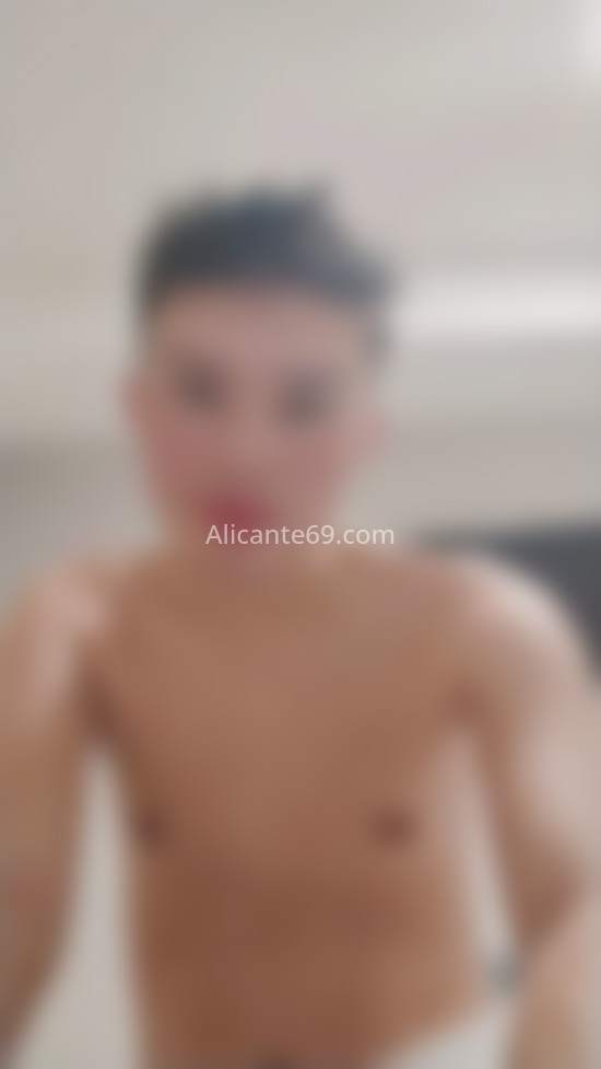 Mateo chico latino . 604308296. Citas en ALICANTE, ALICANTE. www.alicante69.com.