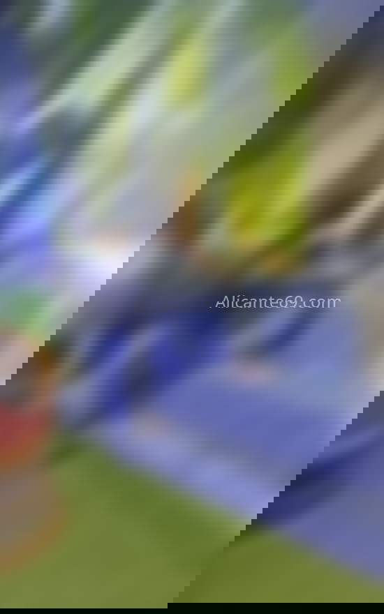 Tokio . 623355742. Citas en ALICANTE, ALICANTE. www.alicante69.com.