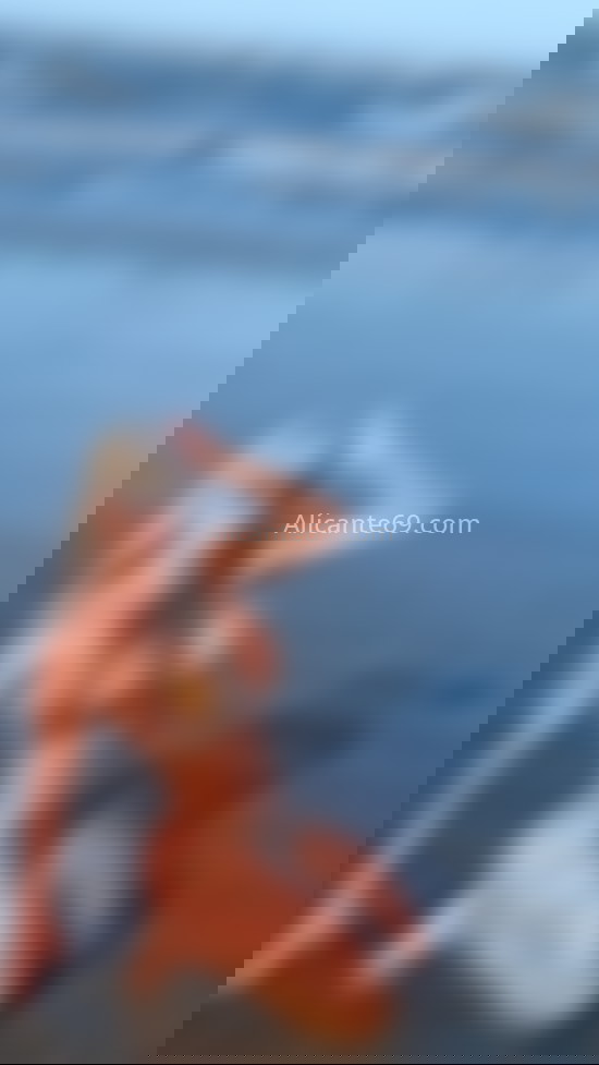 Andressa. 678481875. Citas en ALICANTE, ALICANTE. www.alicante69.com.