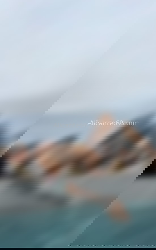 Tiffany, chica trans muy femenina. 604174087. Citas en ALICANTE, ALICANTE. www.alicante69.com.