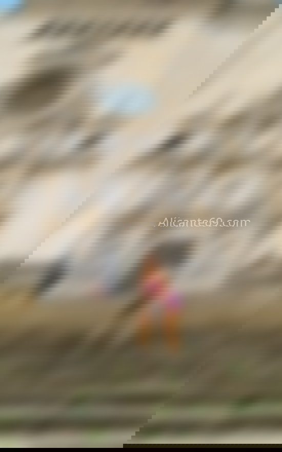 Luana, trans recién llegada a la ciudad. 661438249. Citas en ALICANTE, ALICANTE. www.alicante69.com.