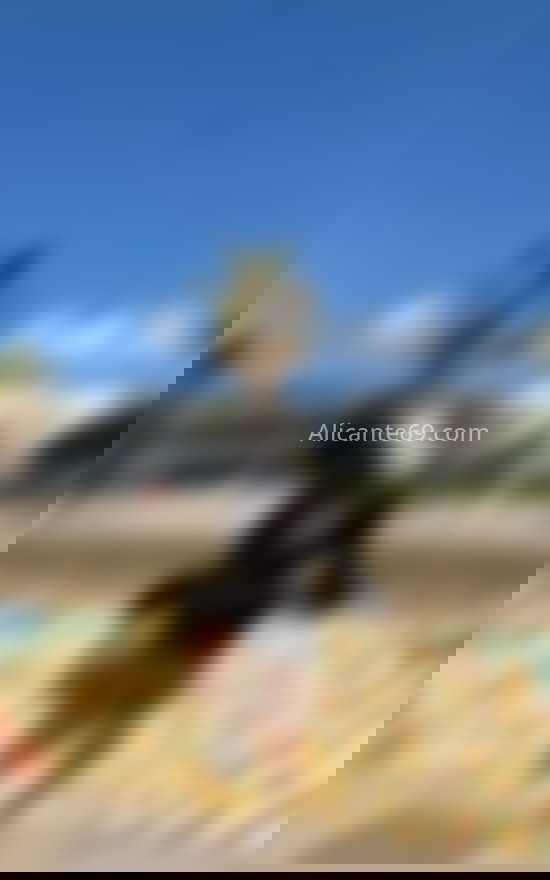 Emma, colombiana. 610726562. Citas en ALICANTE, ALICANTE. www.alicante69.com.