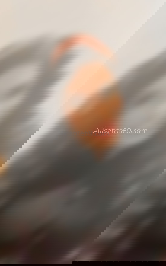 Amanda, trans venezolana 25 años. 643991589. Citas en ALICANTE, ALICANTE. www.alicante69.com.