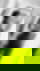 623338536