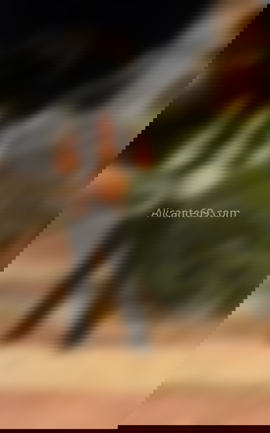 Cristal, chica latina de mente abierta. 622146727. Citas en ALICANTE, ALICANTE. www.alicante69.com.