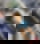 622005369