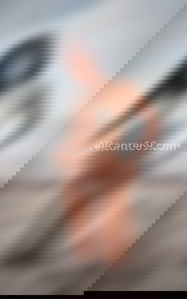 Nicky, colombiana risueña. 624495671. Citas en ALICANTE, ALICANTE. www.alicante69.com.