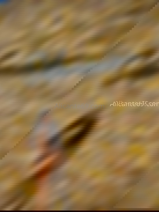 Luna, chica de mirada encantadora. 661562095. Citas en ALICANTE, ALICANTE. www.alicante69.com. Luna, chica de mirada encantadora. 661562095. Citas en ALICANTE, ALICANTE. www.alicante69.com.