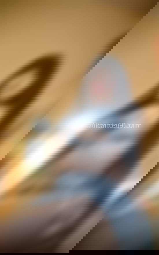 Karina, trans colombiana. 664533593. Citas en ALICANTE, ALICANTE. www.alicante69.com.