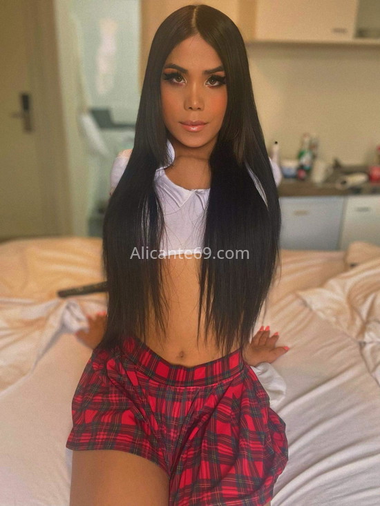 Kitty, joven trans latina. 624099411. Citas en ALICANTE, ALICANTE. www.alicante69.com.