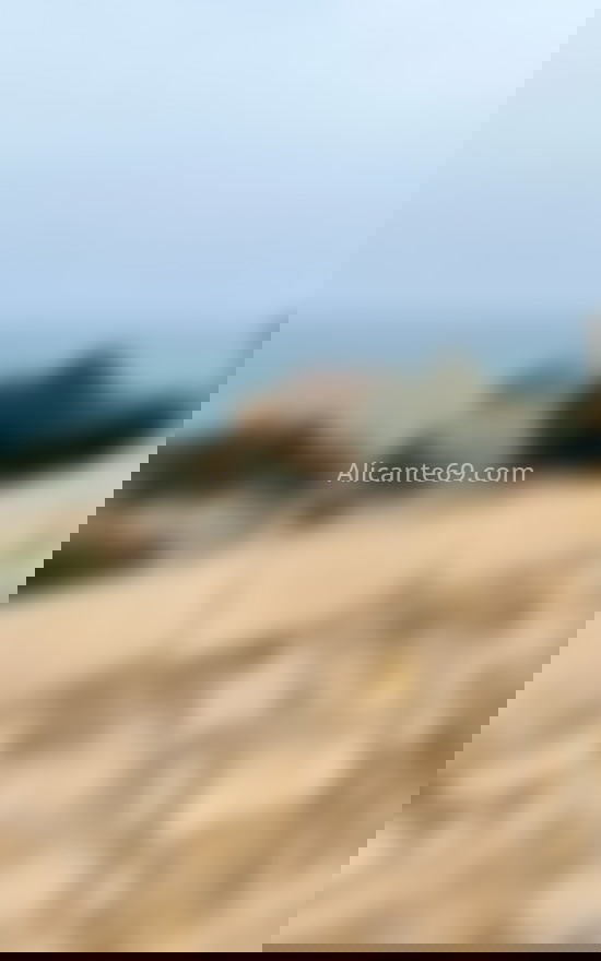 Sofia Rodríguez, joven trans latina. 691374692. Citas en ALICANTE, ALICANTE. www.alicante69.com.