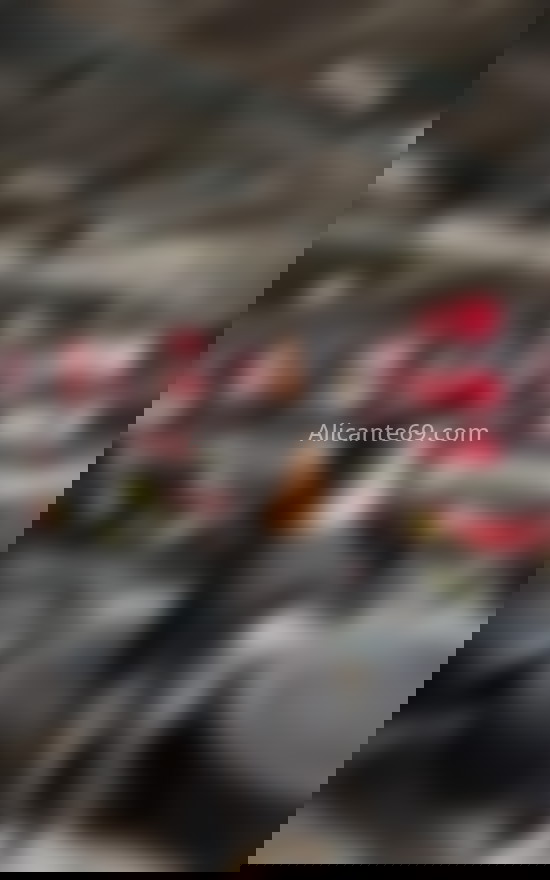 Valentina, bombon venezolano. 643559573. Citas en ALICANTE, ALICANTE. www.alicante69.com. Valentina, bombon venezolano. 643559573. Citas en ALICANTE, ALICANTE. www.alicante69.com.