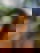 670712524