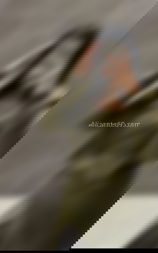 Jovencita latina recién llegada. 614621454. Citas en ALICANTE, ALICANTE. www.alicante69.com.