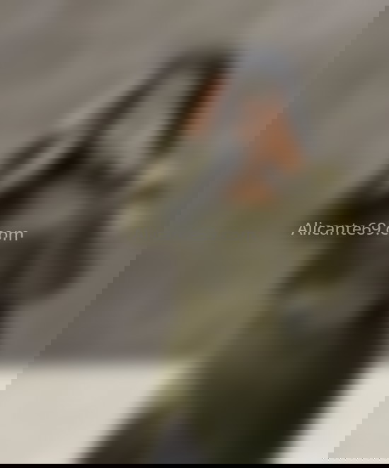 Jovencita latina recién llegada. 614621454. Citas en ALICANTE, ALICANTE. www.alicante69.com.