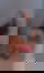 612266895