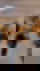 672018746