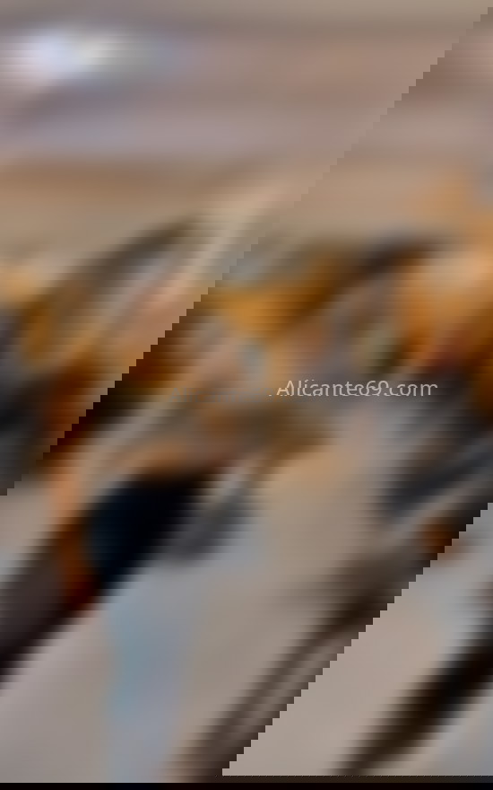 Alicia, de paso por la ciudad. 672018746. Citas en ALICANTE, ALICANTE. www.alicante69.com. Alicia, de paso por la ciudad. 672018746. Citas en ALICANTE, ALICANTE. www.alicante69.com.